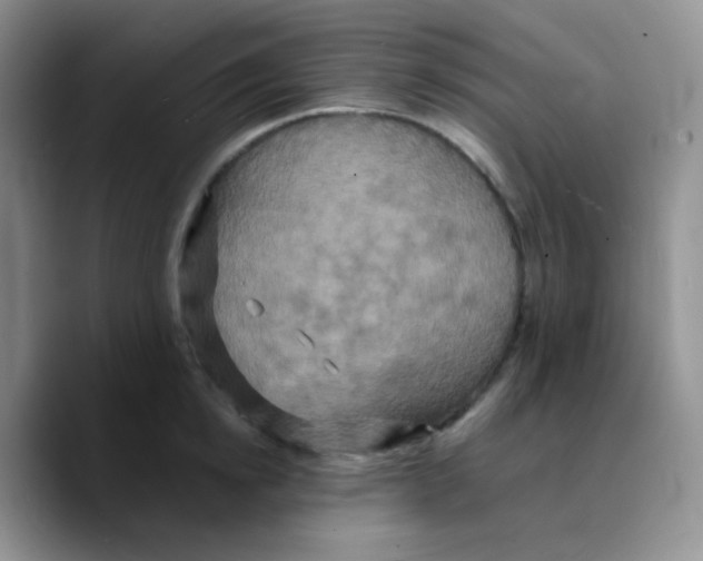 X0000089720854200707201819