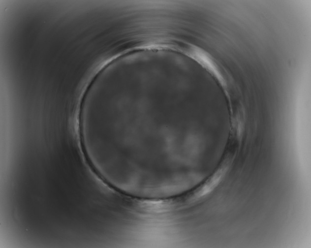 X0000089720855200707201819