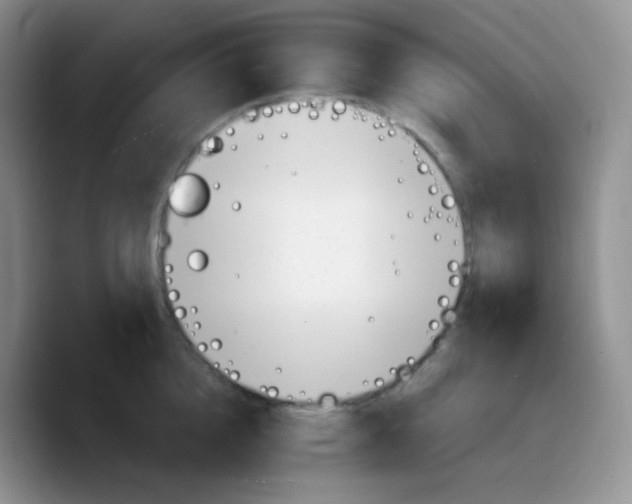 X0000089720856200707201819