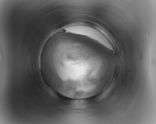 X0000089720858200707201819