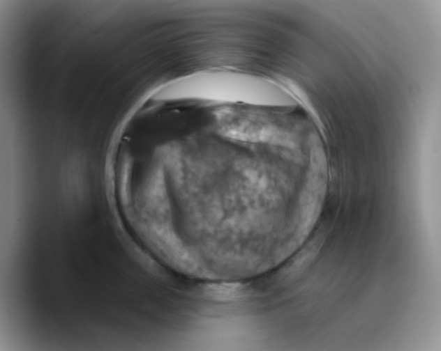 X0000089720859200707201819