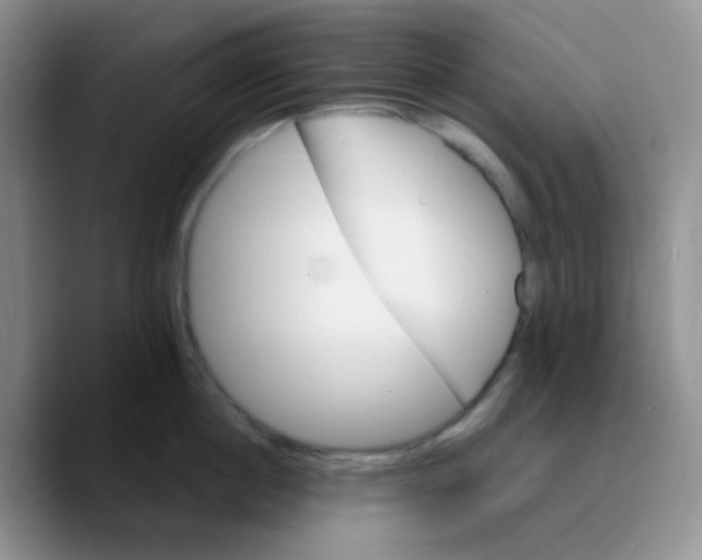 X0000089720860200707201819