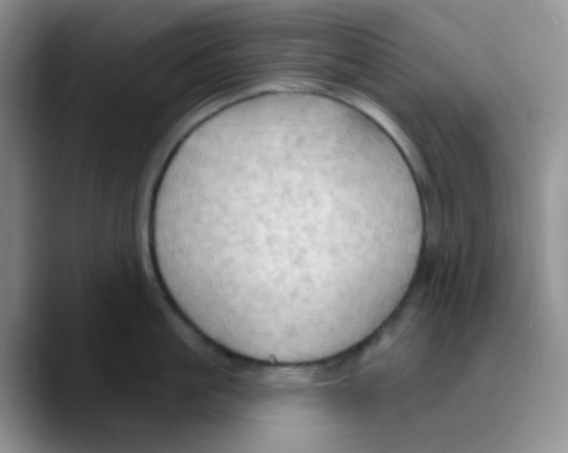 X0000089720861200707201819