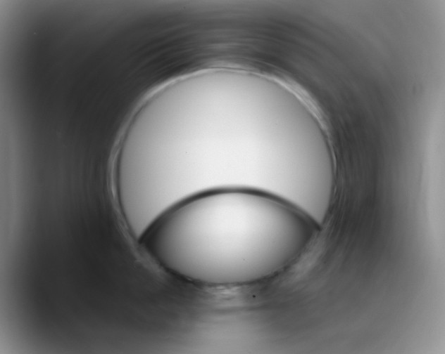 X0000089720862200707201819