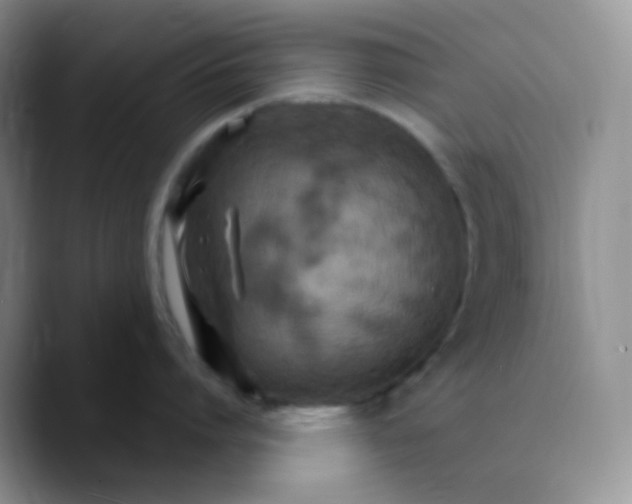 X0000089720864200707201819