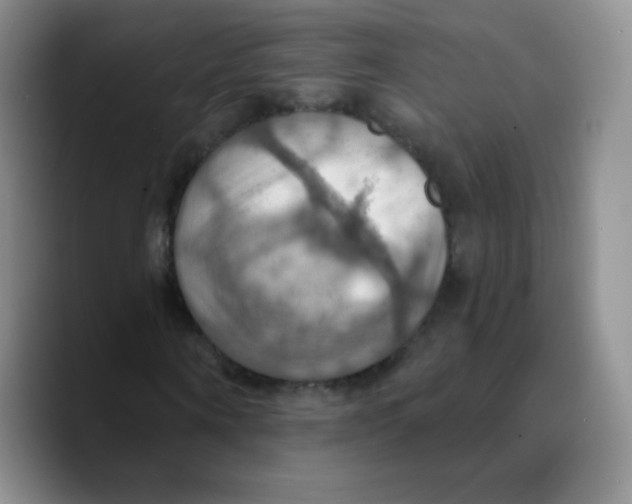 X0000089720866200707201819