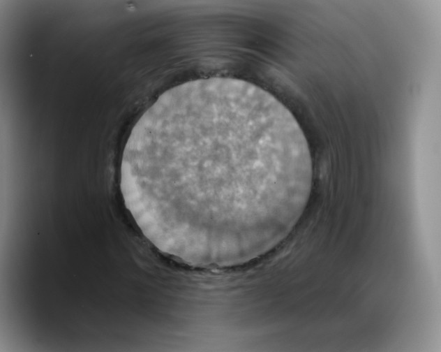 X0000089720868200707201819