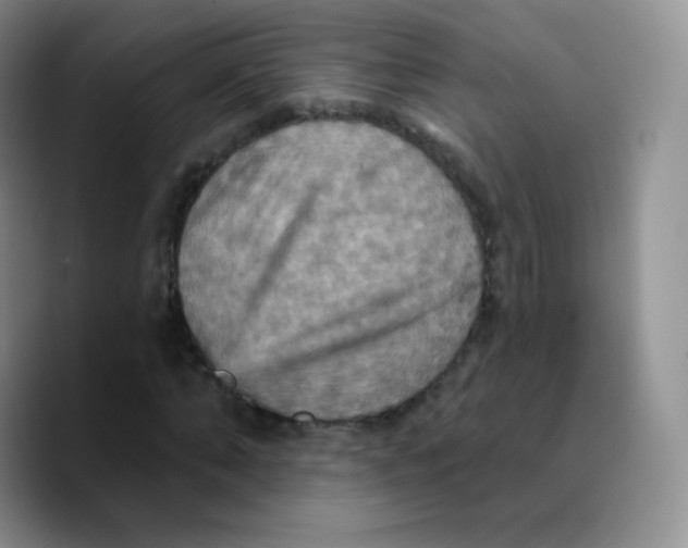 X0000089720870200707201819