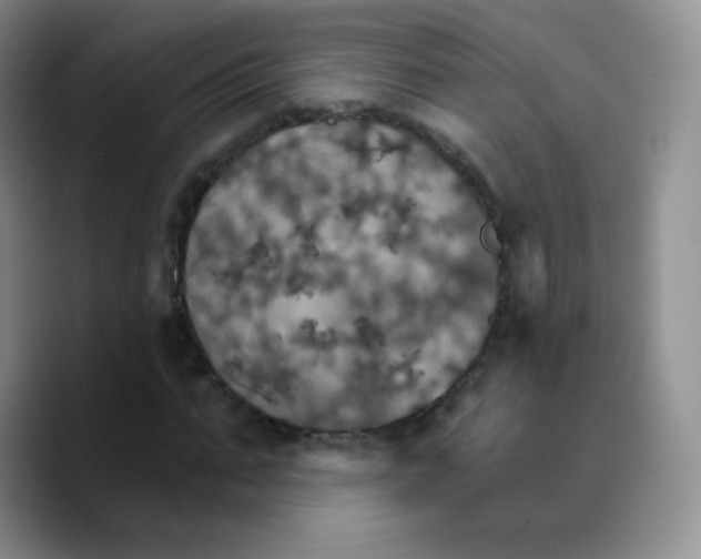 X0000089720871200707201819