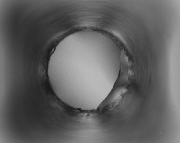 X0000089720872200707201819