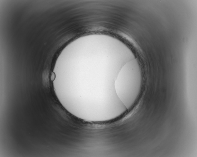 X0000089720873200707201819