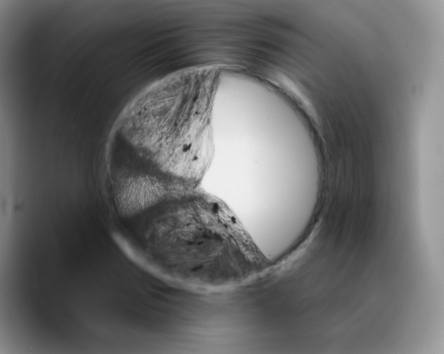 X0000089720875200707201818