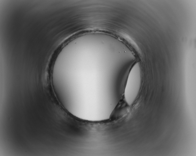 X0000089720876200707201818
