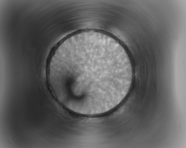 X0000089720877200707201818