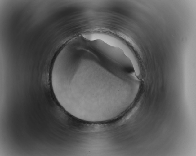 X0000089720881200707201818