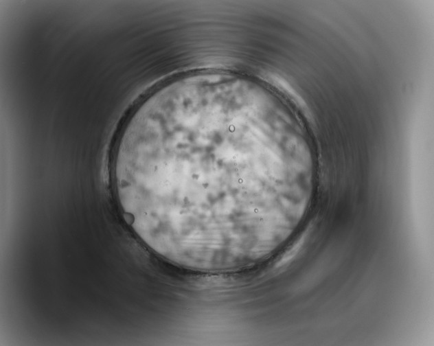 X0000089720883200707201818