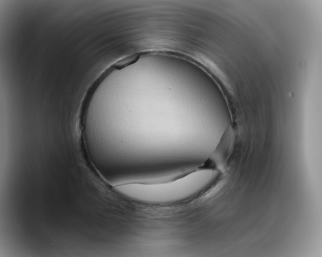 X0000089720885200707201818