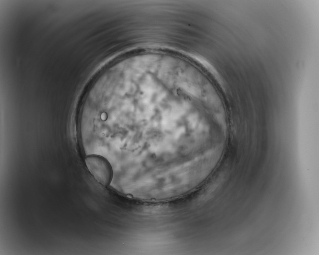 X0000089720887200707201818