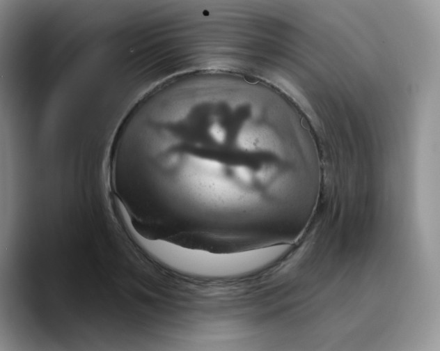 X0000089720891200707201818