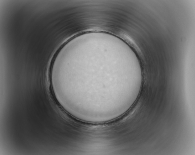 X0000089720892200707201818