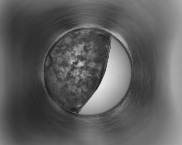 X0000089720895200707201818