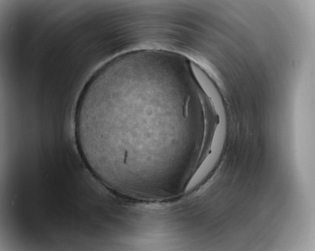 X0000089720896200707201818