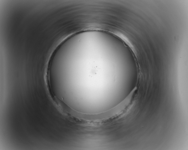 X0000089720901200707201818
