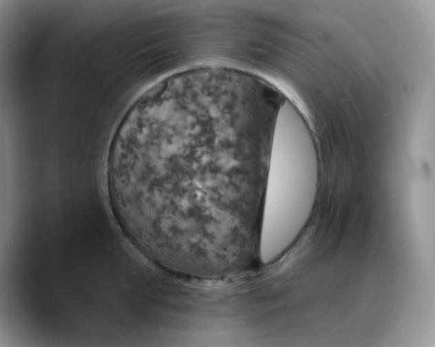 X0000089720903200707201818