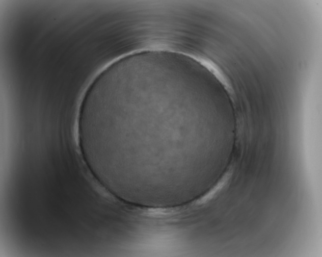 X0000089720904200707201818
