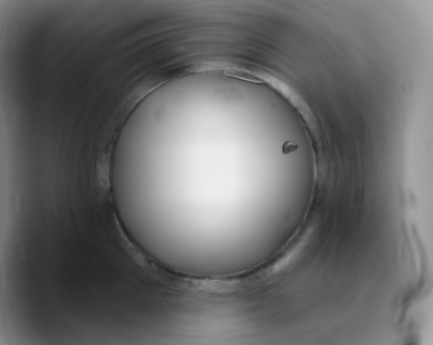 X0000089720905200707201818
