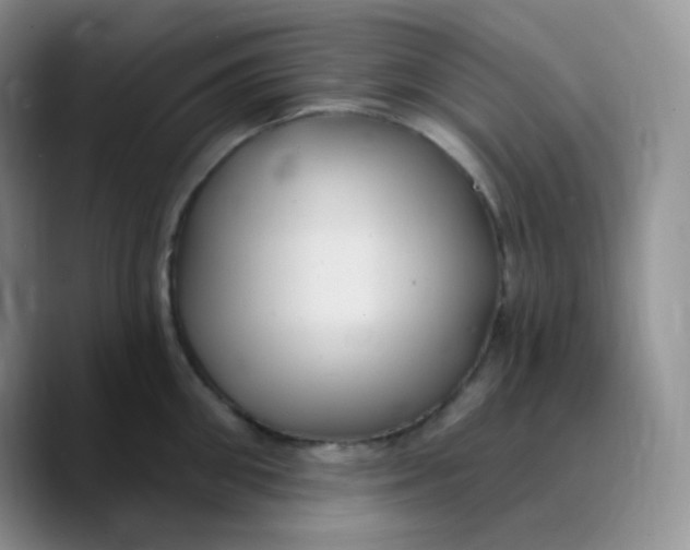 X0000089720906200707201818