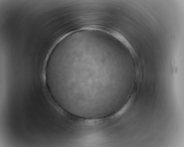 X0000089720908200707201818
