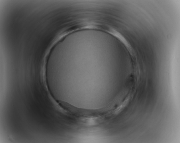 X0000089720910200707201818