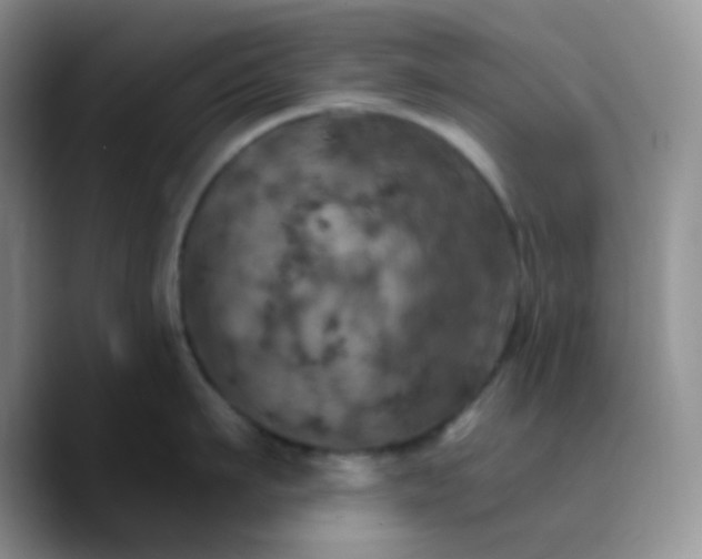 X0000089720911200707201818