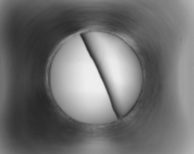 X0000089720912200707201818