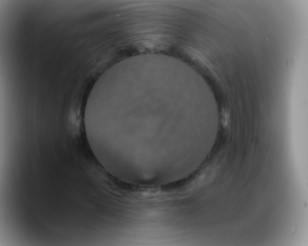 X0000089720915200707201817
