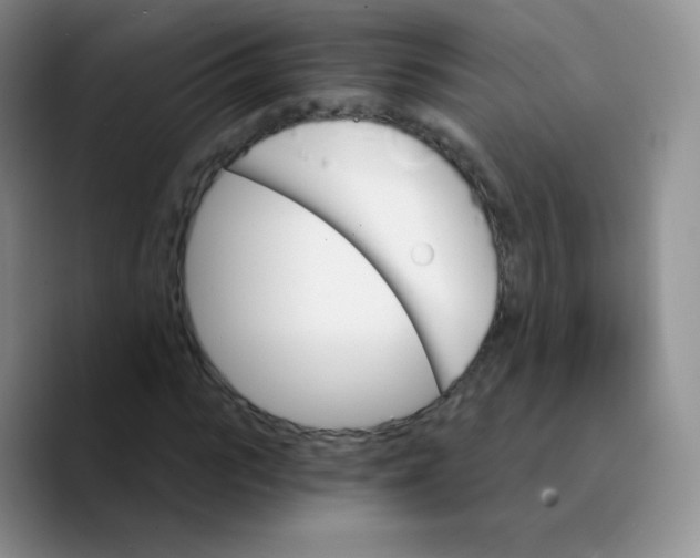 X0000089720919200707201817