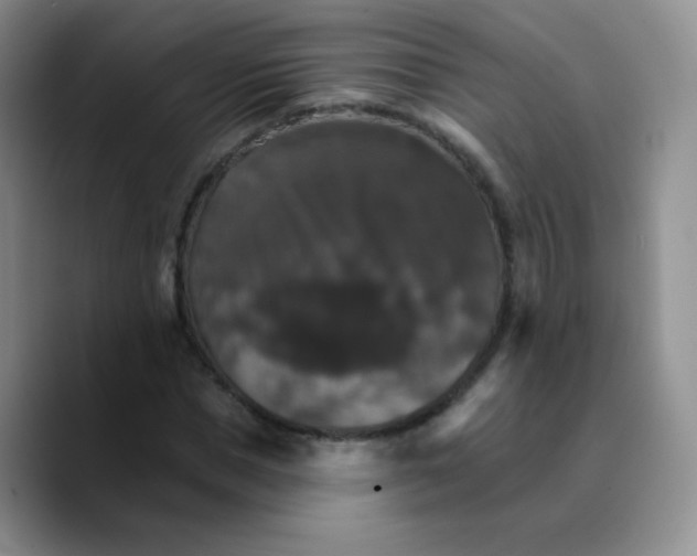 X0000089720921200707201817