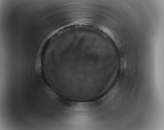 X0000089720923200707201818