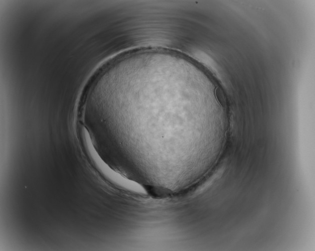 X0000089720924200707201818