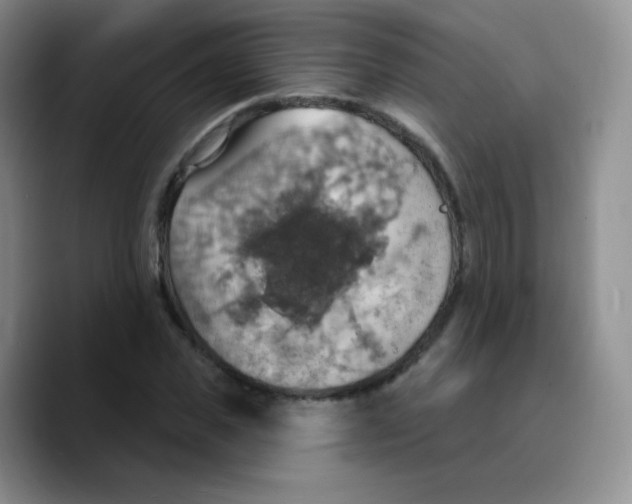 X0000089720925200707201818