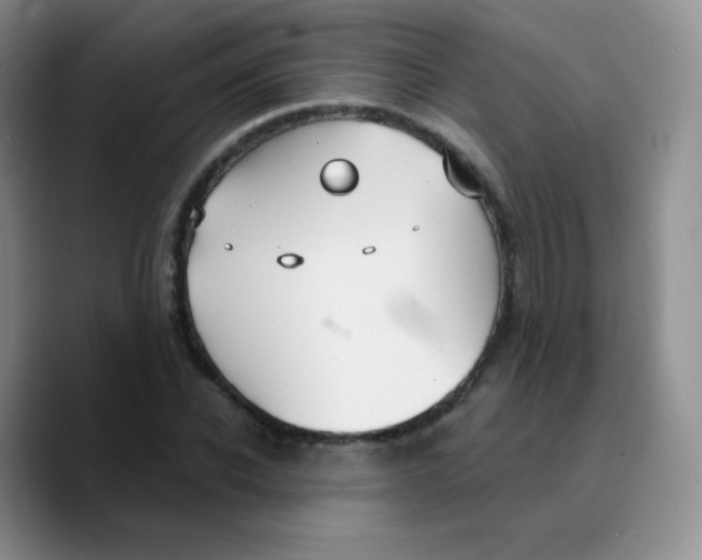 X0000089720926200707201818