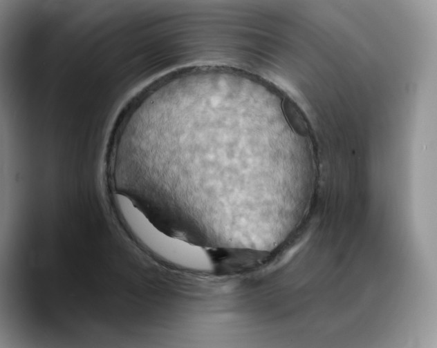 X0000089720928200707201818