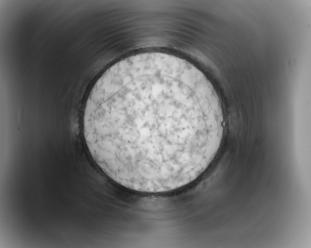 X0000089720929200707201818