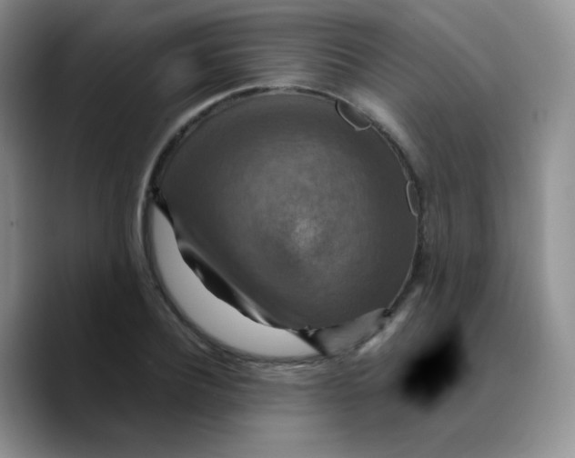 X0000089720932200707201818