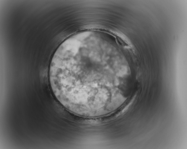 X0000089720937200707201818