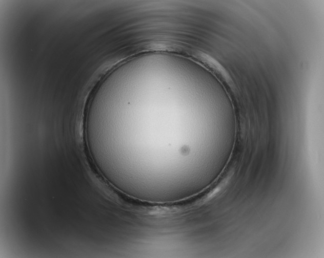 X0000089720938200707201818