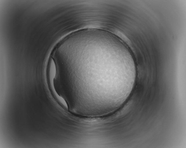 X0000089720939200707201818