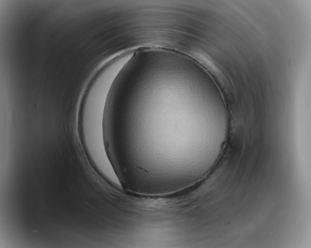 X0000089720940200707201818