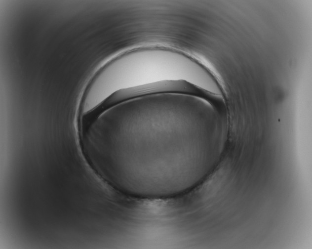 X0000089720943200707201818